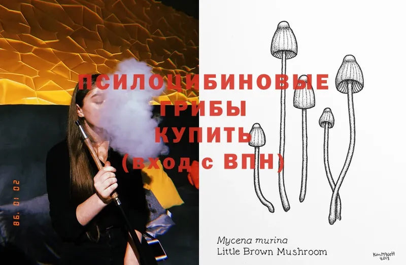 Псилоцибиновые грибы MAGIC MUSHROOMS  Малая Вишера 